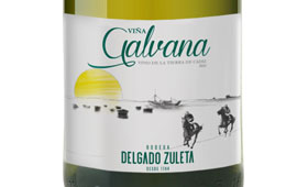 Tecnovino Vina Galvana Delgado Zuleta