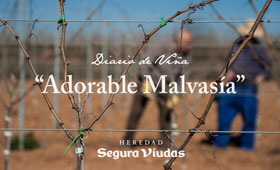 Tecnovino Segura Viudas Diario de Vina malvasia