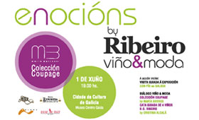 Tecnovino vinos de Ribeiro Enocions 280x170