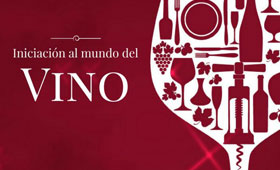 Tecnovino Curso Iniciacion al mundo del vino ESHBI 280