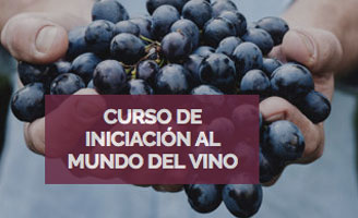 Tecnovino Curso de Iniciacion al Mundo del Vino 2019 ESHBI detalle