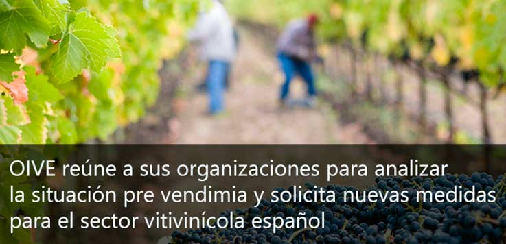 Tecnovino medidas para el sector vitivinícola espanol