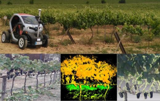 Tecnovino Terras Gauda robótica para optimizar la gestión del viñedo