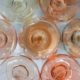 Tecnovino vinos rosados Rose Wines World Tracking detalle