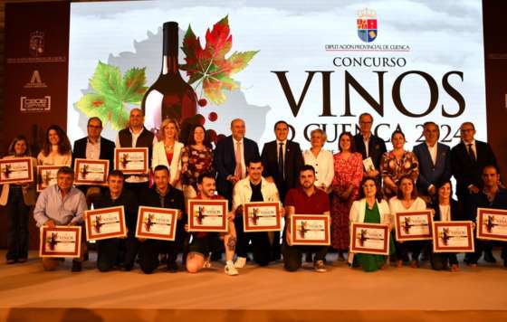 Tecnovino- XXX Concurso de Vinos de la Diputación de Cuenca, concurso de vinos