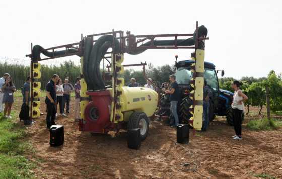 Tecnovino-IRTA, estrategias para reducir el uso de fitosanitarios en las plantaciones de viña y olivo proyecto Novaterra