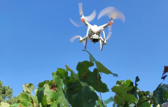 Tecnovino drones viñedos Vitidron detalle