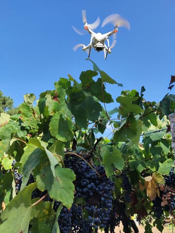 Tecnovino drones viñedos Vitidron dron sobre viñedo