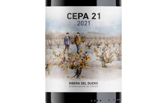 Tecnovino- etiqueta vino Cepa 21 2021 DO Ribera del Duero, Bodega