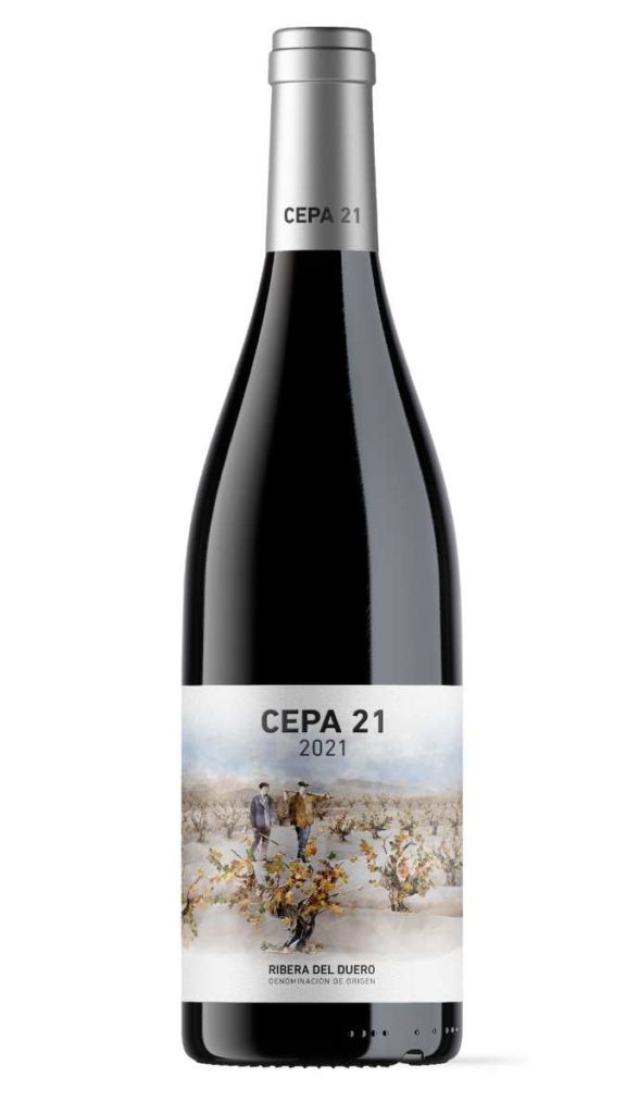 Tecnovino- etiqueta vino Cepa 21 2021  DO Ribera del Duero, Bodega 