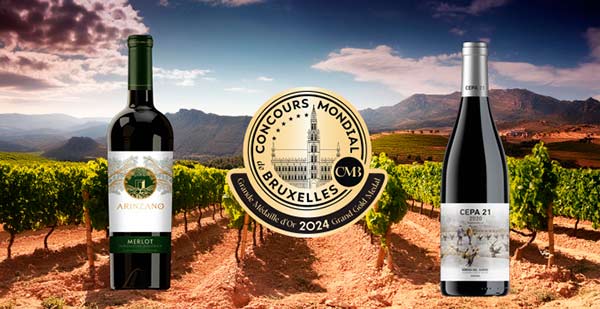 Tecnovino vinos tintos y blancos Concurso Mundial de Bruselas vinos españoles