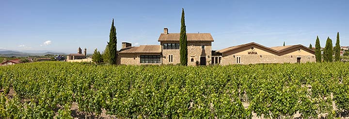 Tecnovino - Bodegas Murua foto panorámica exterior viñedo