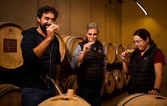 Tecnovino Bodegas Puente del Ea, equipo: Ana, Rodrigo y Julien catando