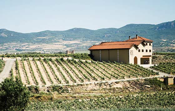 Tecnovino Bodegas Puente del Ea exterior viñedo y Sajazarra