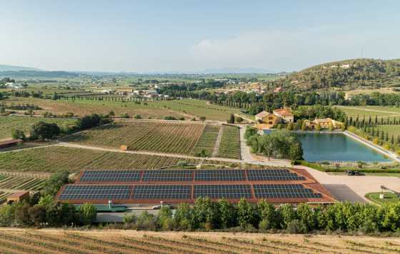 Tecnovino- Familia Torres sostenibilidad ambiental, reutilización de agua regenerada