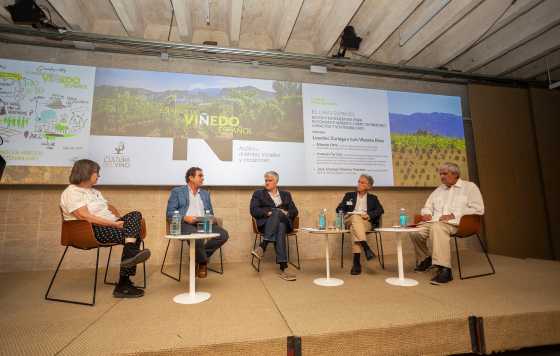 Tecnovino- Fundación para la Cultura del Vino Jornada “Grandes retos del Paisaje del Viñedo Español” , 