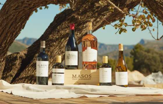 Tecnovino- Masos, bodega en Benimantell, cuatro vinos muy gastronómicos: dos tintos, Albor de MASOS y Vidal Balaguer; un rosado muy versátil, Penya del Castellet, y un blanco, Mas de la Mona, 100 % Chardonnay