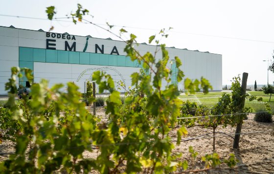 Tecnovino bodega emina rueda