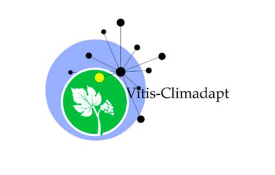 Tecnovino- Escuela de Verano Vitis-ClimAdapt “Adaptación de recursos genéticos de vid al cambio climático”