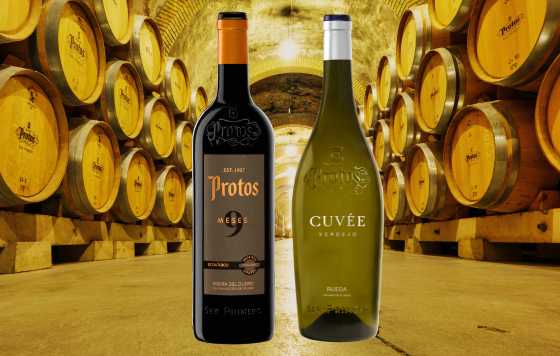 Tecnovino- vinos Protos 9 meses 2022 y Protos Verdejo Cuvée 2023