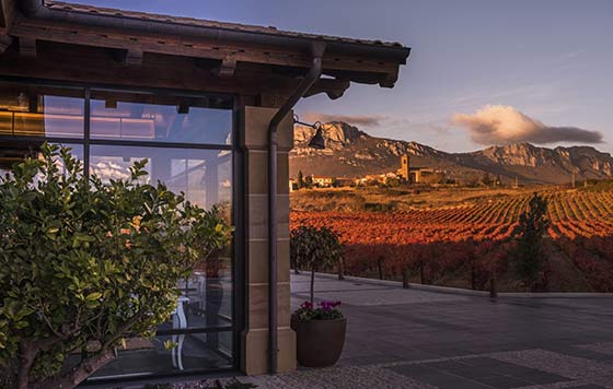 Tecnovino vinos de Laguardia en Vino El Puntido