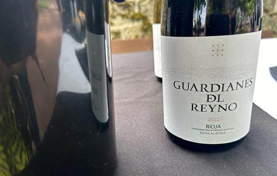 Tecnovino vinos de Laguardia en Vino Guardianes del Reyno