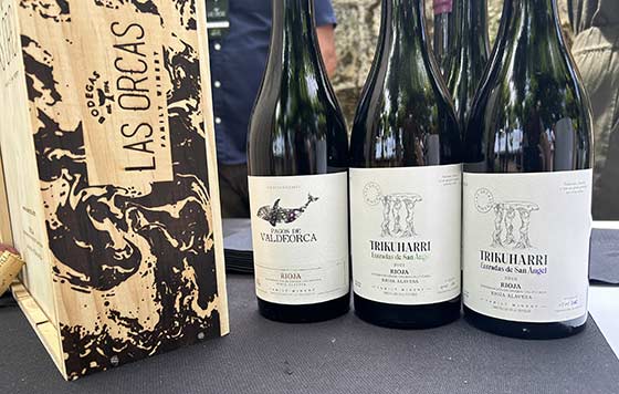 Tecnovino vinos de Laguardia en Vino Las Orcas