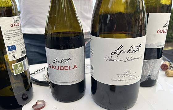 Tecnovino vinos de Laguardia en Vino Laukote 1