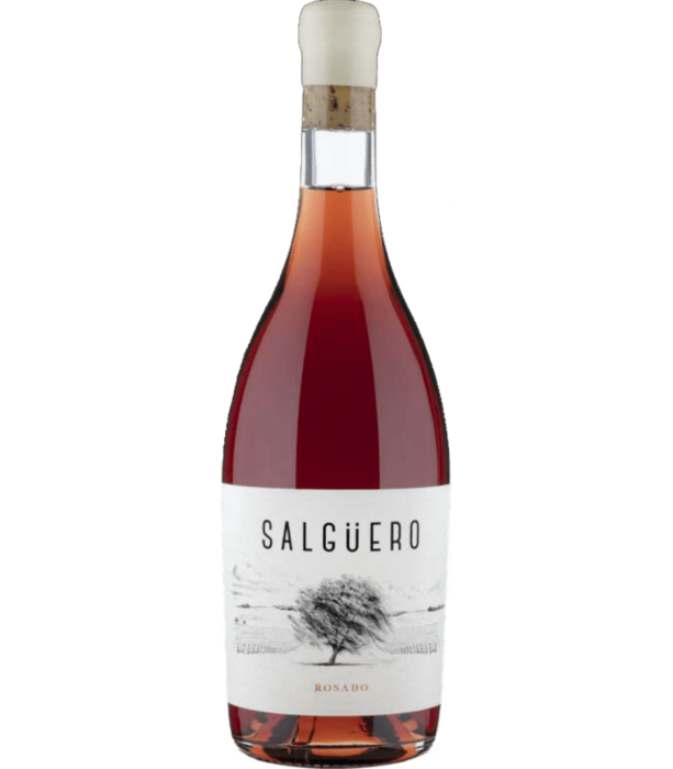 Tecnovino Salguero Rosado 2019 bodega Real Sitio de Ventosilla  Alimentos de España Mejores Vinos