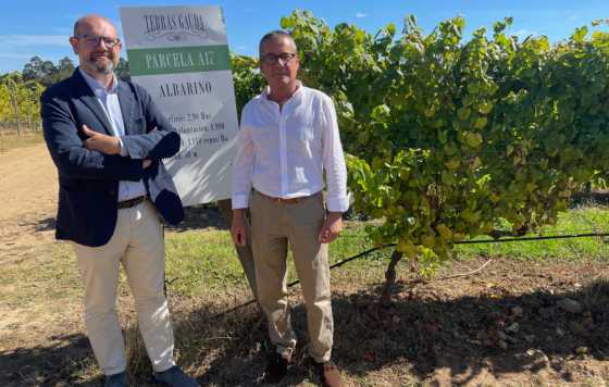 Tecnovino- Bodega Terras Gauda, que ensaya la viticultura del futuro con estrategias de gestión sostenible del viñedo