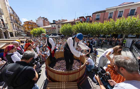 Tecnovino Gran Fiesta de la Vendimia Ribera del Duero pisado uva