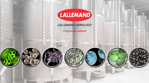 Tecnovino - Lallemand investigación inversión laboratorios 2