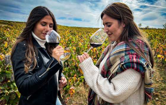 Tecnovino- Ruta del Vino Ribera del Duero, enoturismo, experiencias inmersivas durante la vendimia