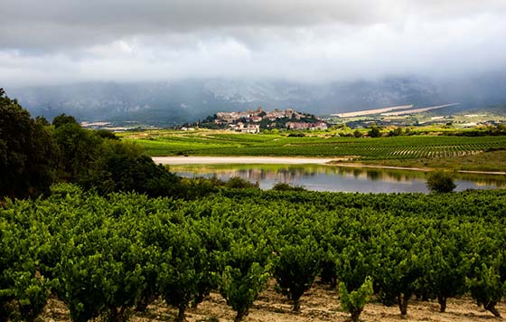 Tecnovino - Viñedos Singulares en Rioja Laguardia