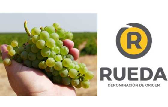 Tecnovino- uvas D.O. Rueda