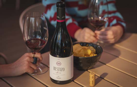 Tecnovino Bestizo 2023 Bodegas Emilio Moro