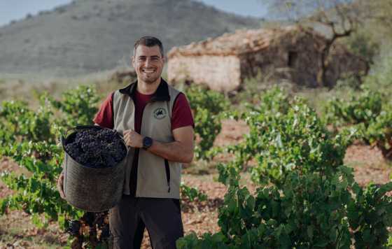 Tecnovino- Bodegas Borsao