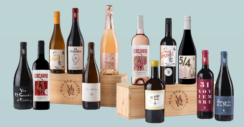 Tecnovino- Bodegas Más Que Vinos Toledo, gama de vinos