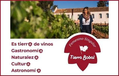 Tecnovino- Tierra Bobal campaña Femenino Singular