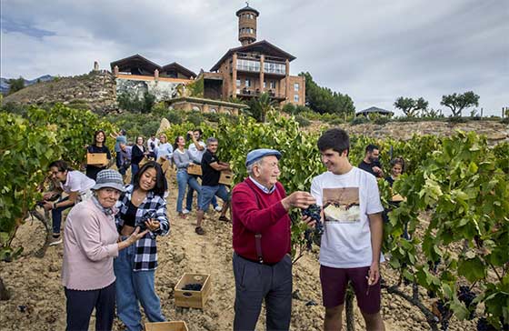 Tecnovino- premios de enoturismo Bilbao Rioja 2025 Eguren Ugarte Vendimia