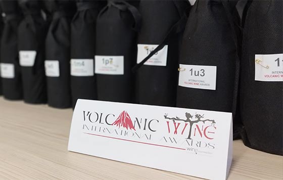 Tecnovino- vinos ganadores premios International Volcanic Wine Awards