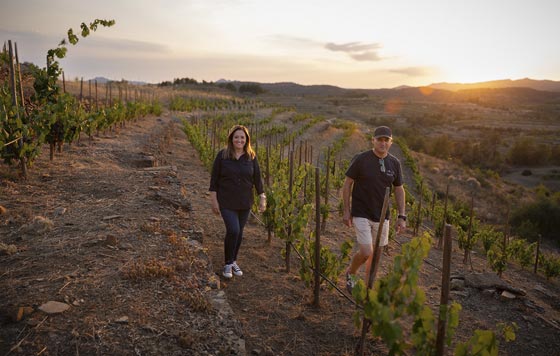 Tecnovino Clos Galena