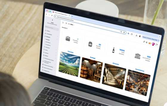 Tecnovino- Vinai, plataforma digital para gestión de bodegas
