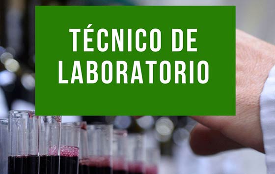 Tecnovino- técnico de laboratorio control de calidad de vinos