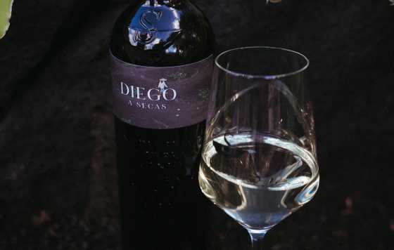 Tecnovino- Diego a Secas, vino blanco de Stratvs,  bodega de Rosa Group