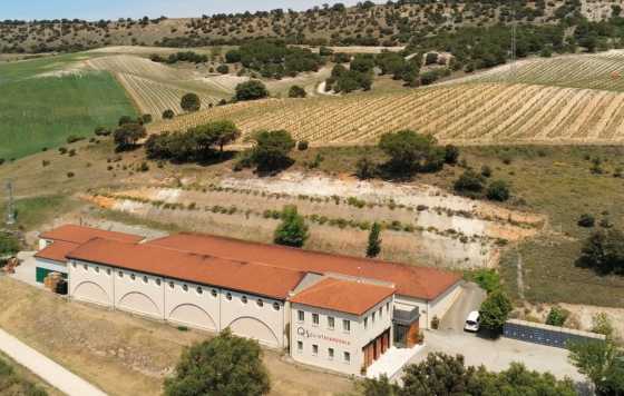 Tecnovino- Grupo Terras Gauda y Quinta Sardonia, proyecto europeo para optimizar la gestión del agua en el viñedo