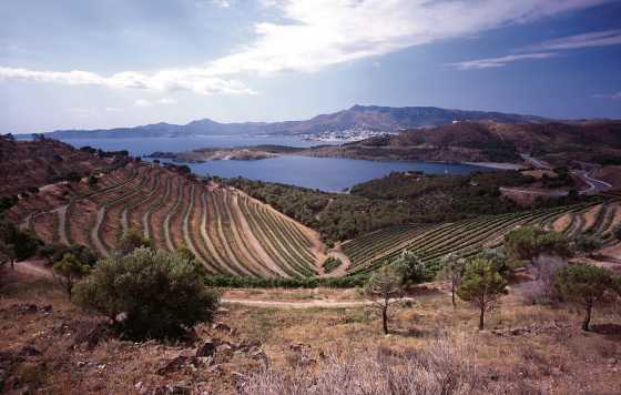 Tecnovino-  Perelada  primer Simposio de Vinos Mediterráneos