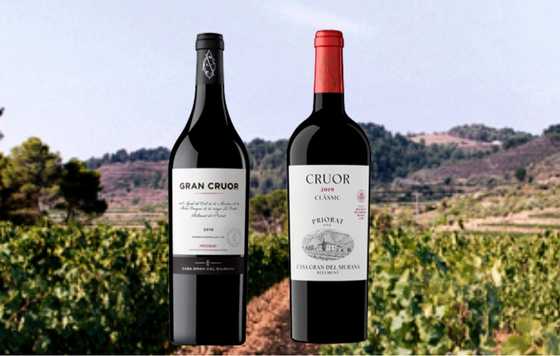 Tecnovino-  vinos del Priorat, Gran Cruor Syrah 2018 y Cruor 2019, Casa Gran del Siurana