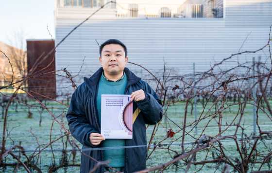 Tecnovino-  Las barricas de roble americano de Pensilvania y Misuri son idóneas para la crianza de vinos durante 6 meses,  Zhao Feng  tesis