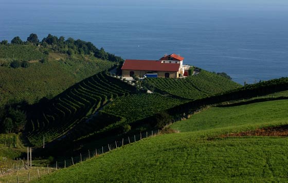 Tecnovino- txakoli de Getaria Bizkaia Araba término autorizado por la Comision Europea